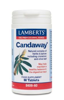 Lamberts Candaway 60 tabs 
