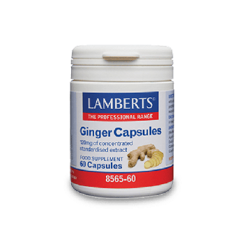 Lamberts Lamberts Ginger 60caps