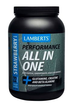 Lamberts Performance All-in-one Strawberry 1450gr