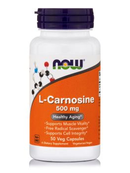 Now Foods L-Carnitine 500mg 30vcaps